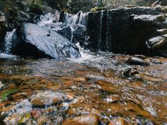 -千岛湖东南湖区