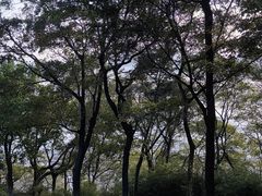 -平湖九龙山旅游度假区