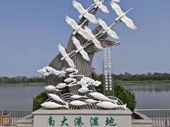 -南大港湿地风景区