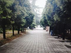 -秦始皇帝陵博物院-丽山园