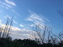 -白鹭湾湿地公园