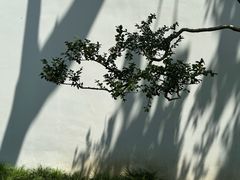 -拙政园