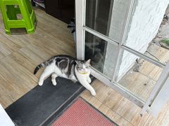 -百金通黄金回收首饰定制维修(珠江路总部)