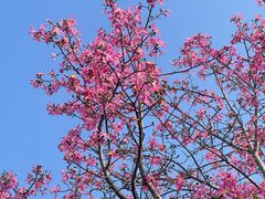 -风云岭森林公园