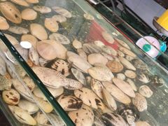 -兴旺海鲜砂煲王