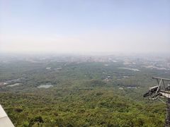-紫金山山顶公园