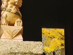 -少华山国家森林公园