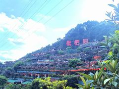 -枇杷园食为鲜火锅(南山店)