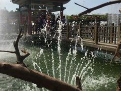 -呀路古热带植物园