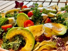 -百好乐宠物友好餐厅(朝外大街店)