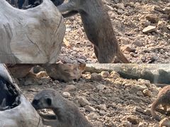 -水上乐园·欢乐世界