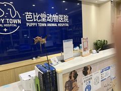 -芭比堂动物医院·24小时·眼科中心(深圳中心)