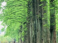 -青城山