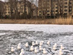 -马家湾湿地公园