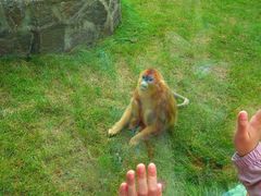 -西安秦岭野生动物园