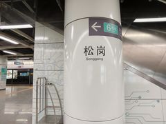-松岗(地铁站)