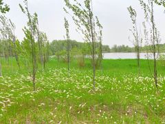 -野鸭湖国家湿地公园