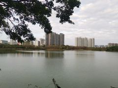 -广东花都湖国家湿地公园