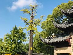 -西园戒幢律寺