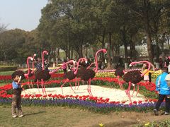 -上海鲜花港