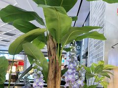 -Aqua Oasis 水天堂(常熟永旺店)