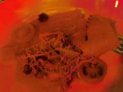 -北京柏悦酒店宴会厅