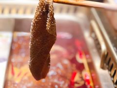 -九鼎轩脆毛肚火锅(三钢里店)