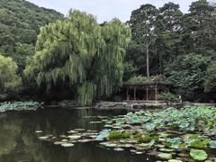 -香山公园