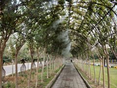 -武汉紫薇都市田园