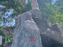 -大岭沟猕猴桃谷风景区