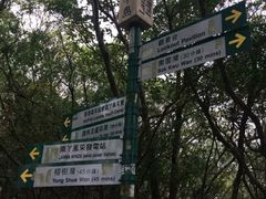 -南丫岛