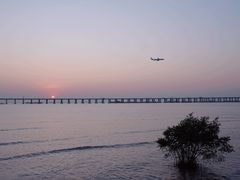 -宝安西湾红树林湿地公园