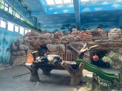 -石家庄市动物园