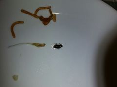 android_upload_pic-汤记传菜(秀浦路店)