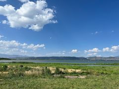 -洱海月湿地公园