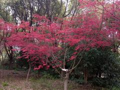 -尚贤河湿地