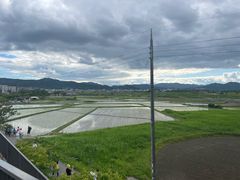 -岚山嵯峨野观光小火车