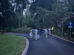 -中国科学院西双版纳热带植物园