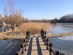 -前关湿地公园
