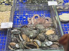 -高佳庄·舟山海鲜(海景旗舰店)