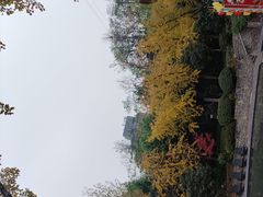 -融汇温泉