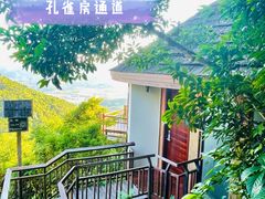 -三亚亚龙湾人间天堂鸟巢度假村