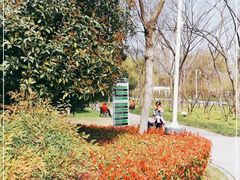 -新虹桥中心花园