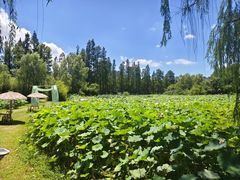 -百翠山居.家飨餐厅