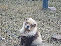 -茅山东方盐湖城景区