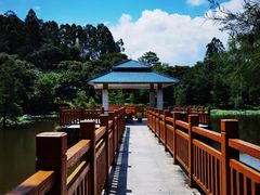 -东莞市大岭山森林公园
