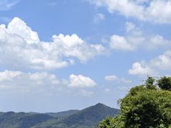-广州市帽峰山景区