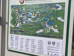 -野象谷景区