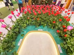 -新城市广场