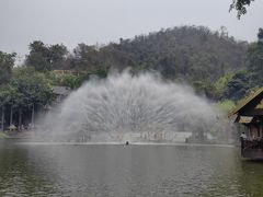 -西双版纳原始森林公园